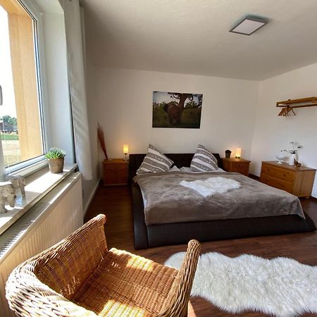 Gelbes Haus Seenland Ferienwohnungen Xl Elsterheide Exterior foto