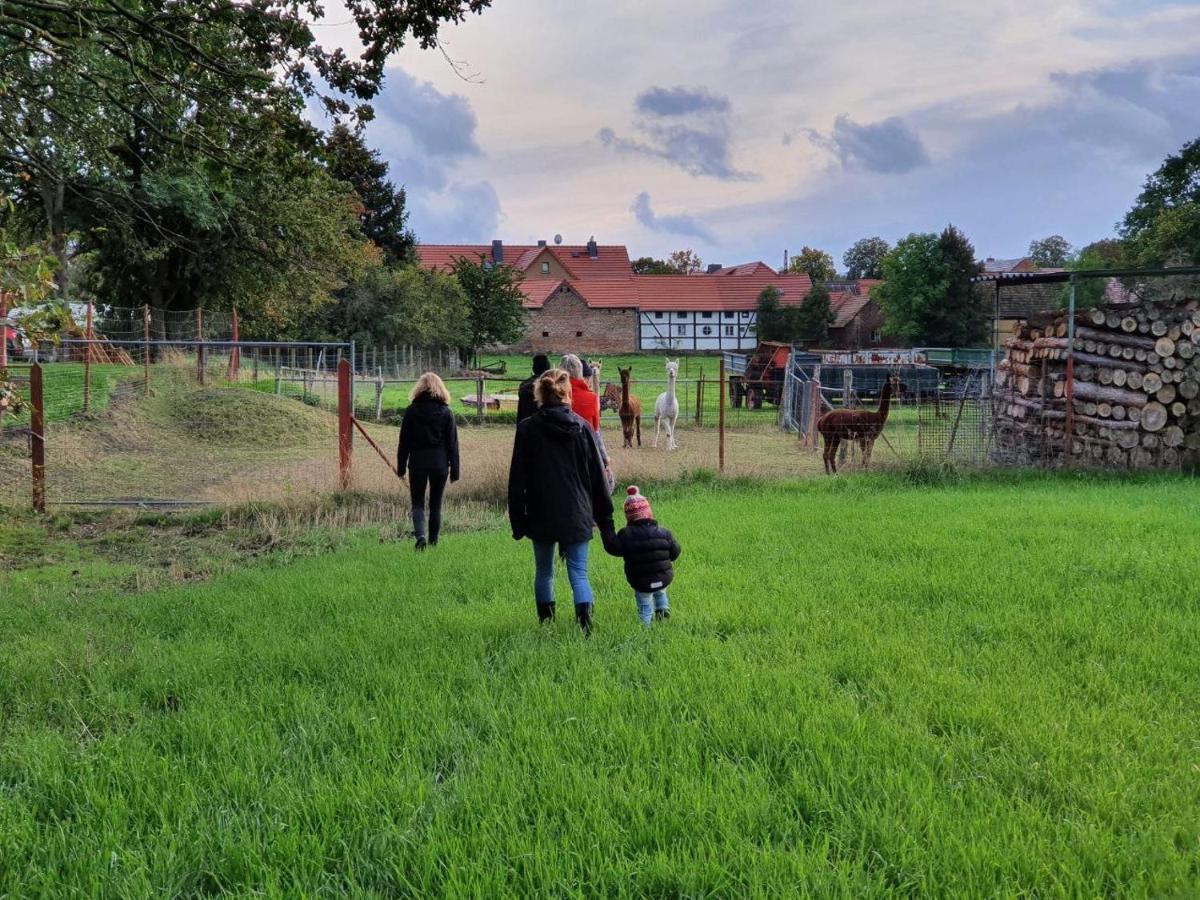 Gelbes Haus Seenland Ferienwohnungen Xl Elsterheide Exterior foto