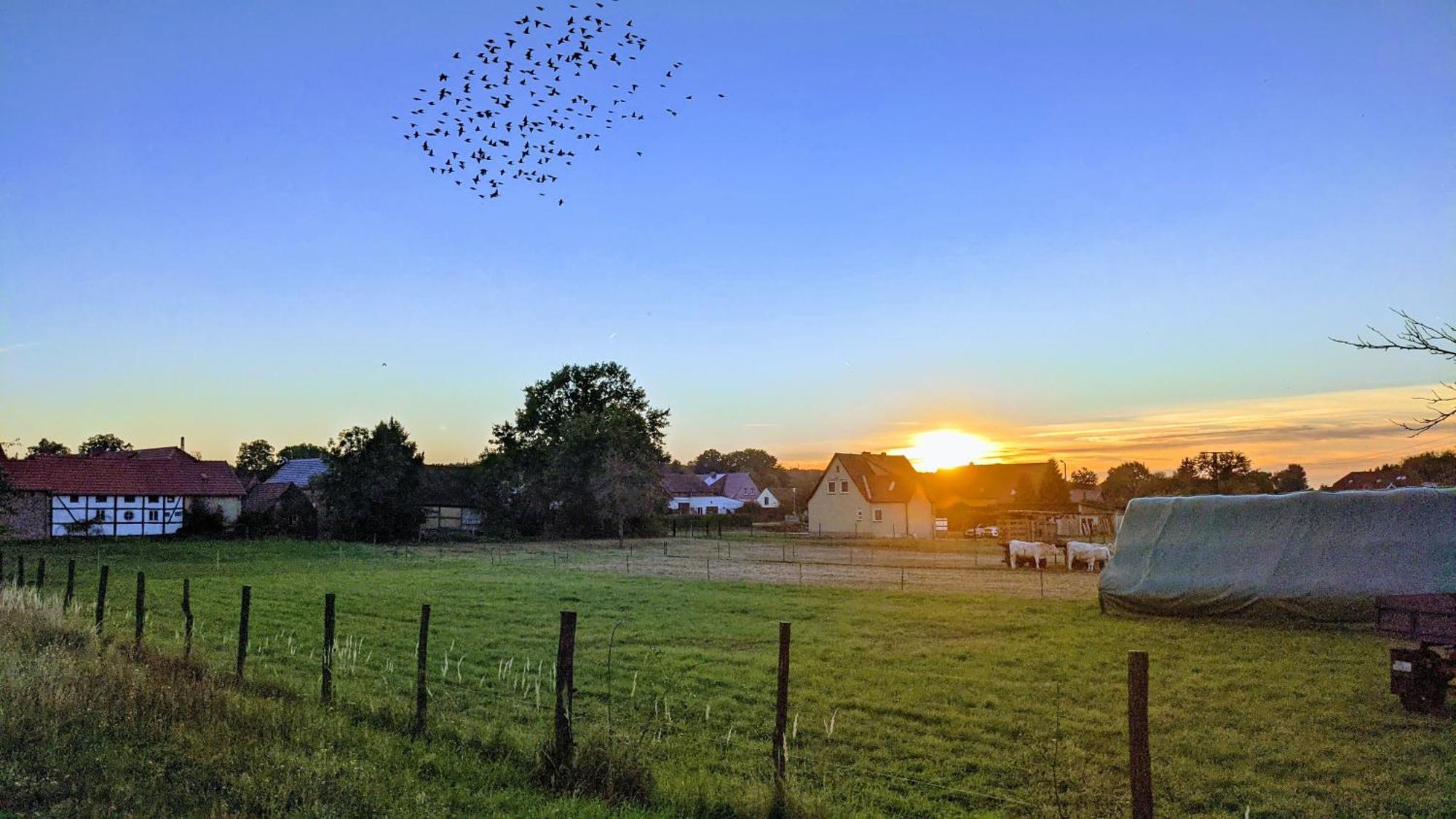 Gelbes Haus Seenland Ferienwohnungen Xl Elsterheide Exterior foto
